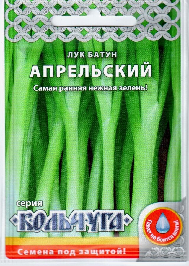 Семена лука батуна "Апрельский Кольчуга", раннеспелые, морозостойкие