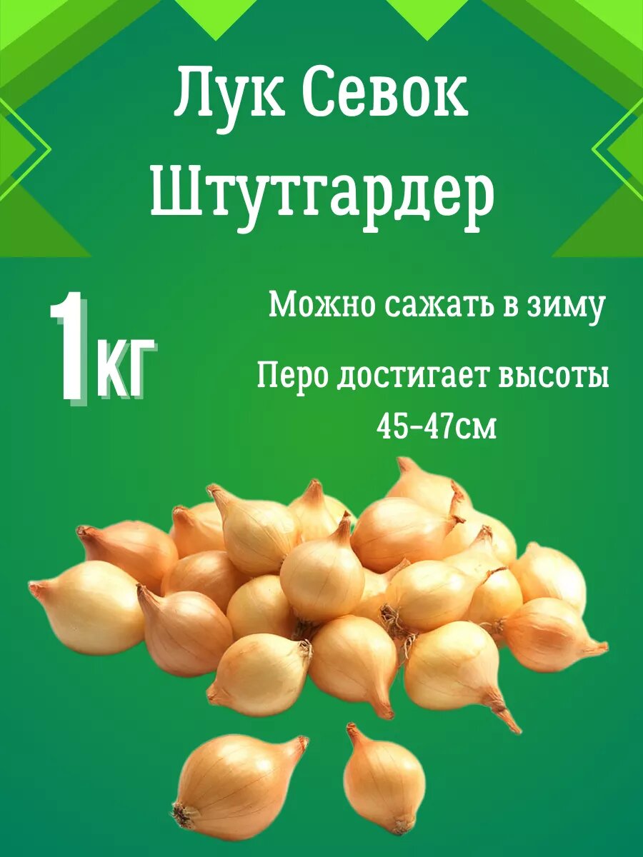 Лук севок...