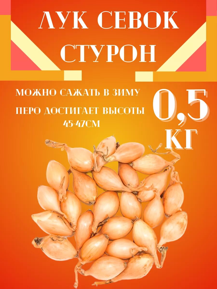 Лук Севок сорт  Стурон  0 5кг