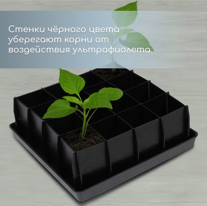 Наборы Для Рассады Набор для рассады: пластиковая вставки на 16 ячеек, по 130 мл, пластиковый чёрный поддон, 26,5 × 26,5 × 3 см