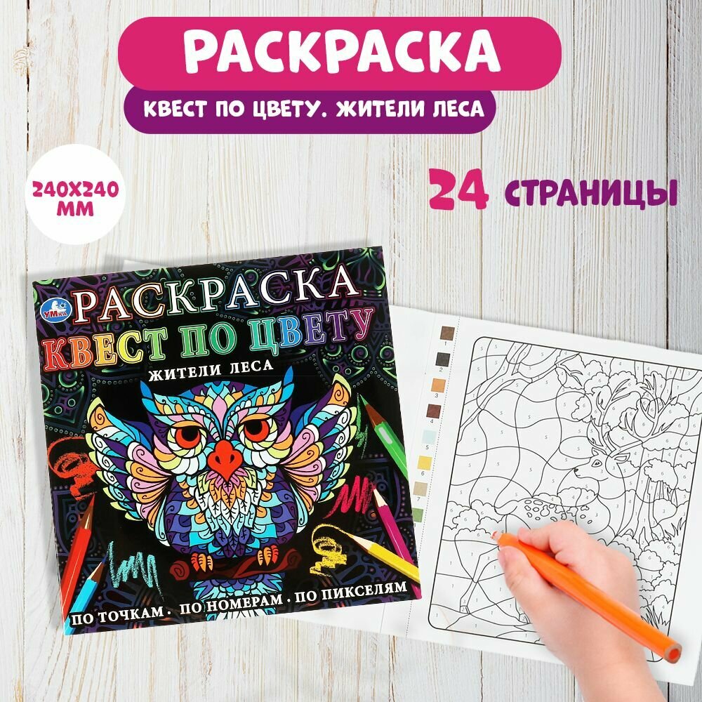 Раскраска детская для девочек по цвету Жители леса 24х24см 24стр