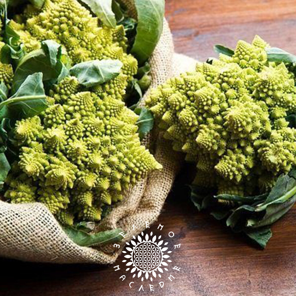 Семена Капуста цветная Романеско (лат. Brassica oleracea romanesco) 30шт