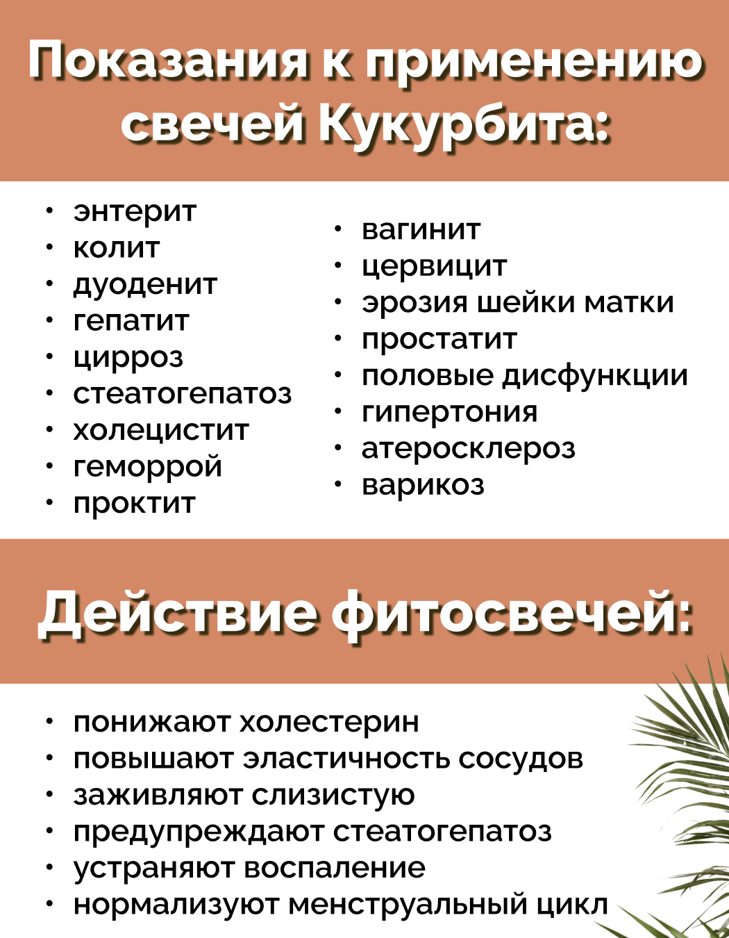Картинки Свечи "Кукурбита" с маслом тыквы, 1 уп, 10 шт, банка, Материа Био Профи Центр