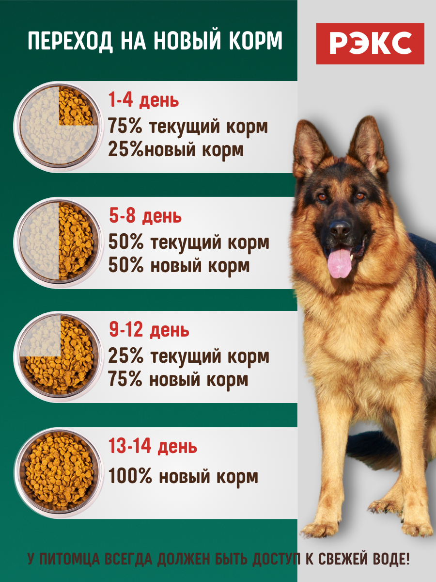 Сухой корм "Рэкс" 20 кг, для собак средних и крупных пород, Белкорм — фото 1