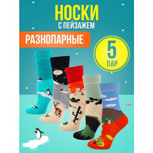 фото Носки big bang socks, 5 пар, размер 35-39, оранжевый, бежевый, зеленый