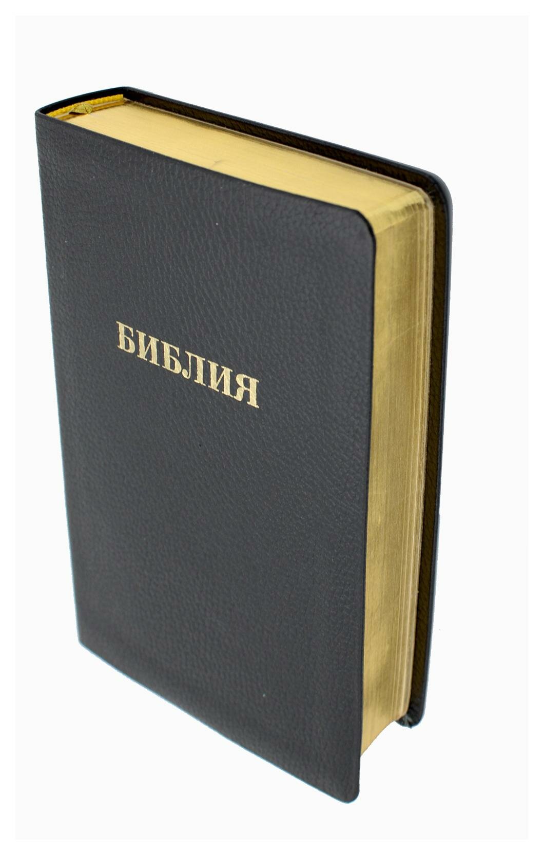 Библия: книги Священного Писания Ветхого и Нового Завета; Канонические. Источник жизни