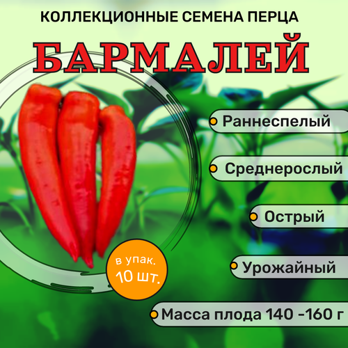 коллекционные семена перца острого бармалей Коллекционные семена перца острого Бармалей