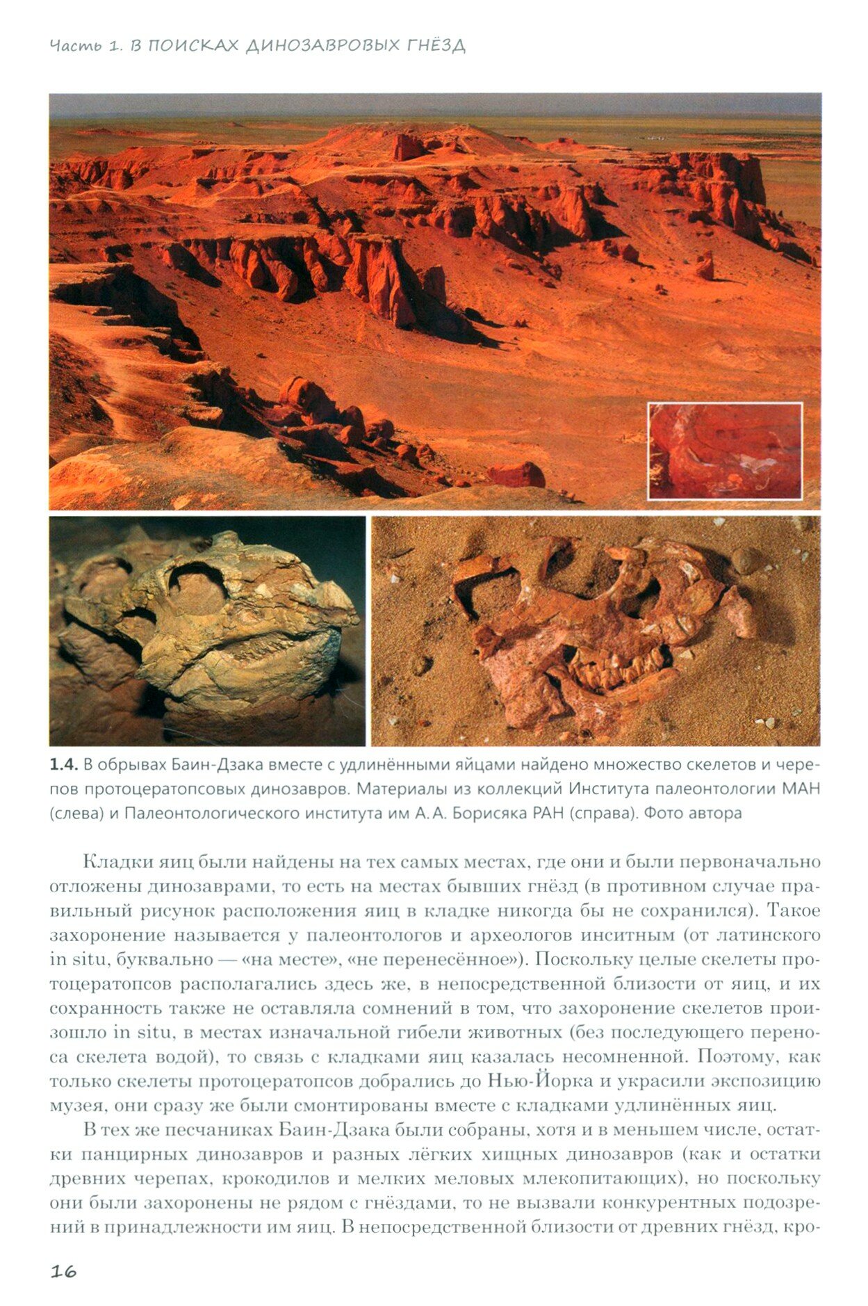 Динозавры Окаменелые яйца и загадки гнездовой жизни - фото №4