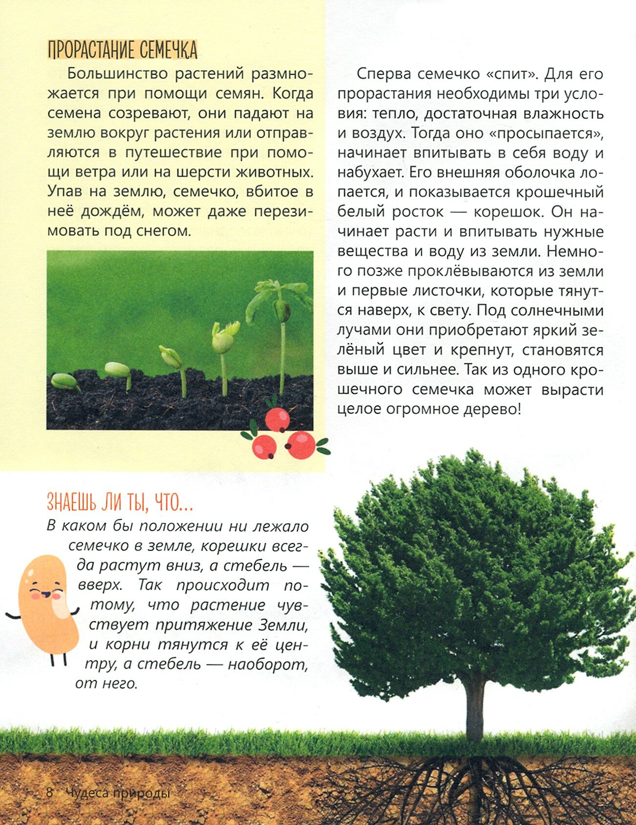 Что откуда берётся (Соколова Юлия Сергеевна) - фото №10