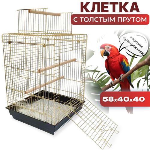 Клетка TOCH il King 1901-G, для попугаев, 40x40x58 см, выдвижной поддон