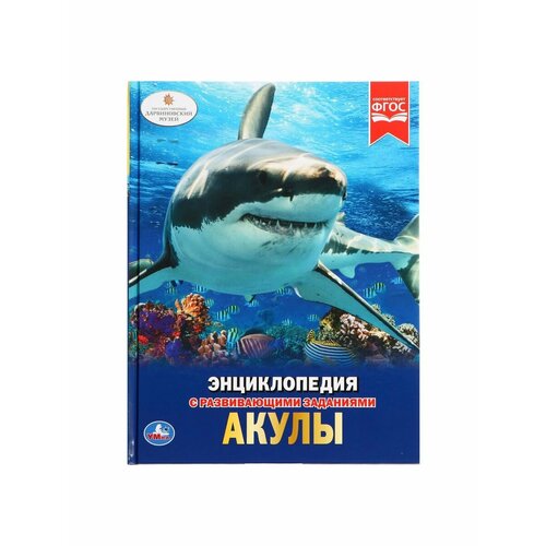 Энциклопедии подводный мир энциклопедия а4 с развивающими заданиями
