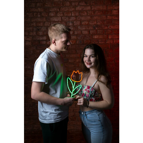 Светодиодный неоновый светильник PJ Neon Тюльпан, 32х18 см, неоновая вывеска
