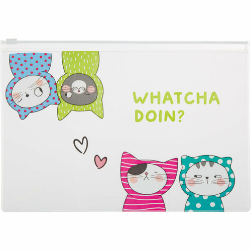 Папка-конверт на молнии M&G So Many Cats, A5, 0,18 мм, в асс ADM929FP, 2 штуки