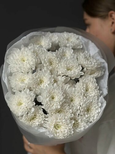 Изображение товара Монобукет хризантем Бутон, белые, 5 шт, в пленке, диаметр 25 см