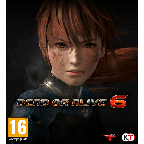 Игра Dead or Alive 6 Steam Все страны 5610₽