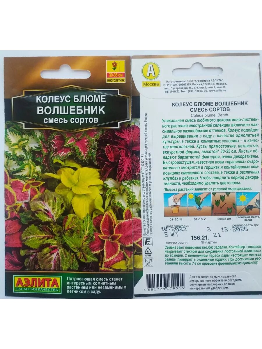 Семена колеус блюме Волшебник смесь сортов