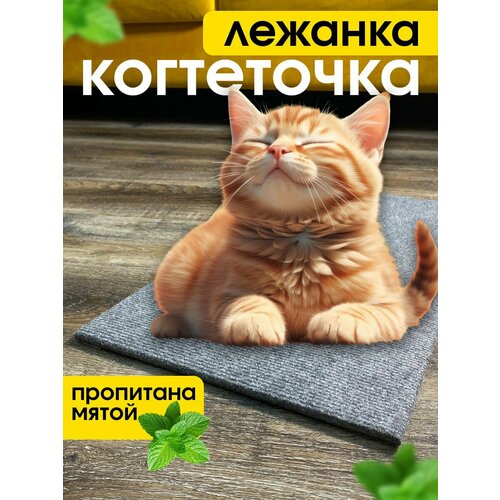 Когтеточка-лежанка Джесси, напольная и настенная, серая, 55x29x0.8 см
