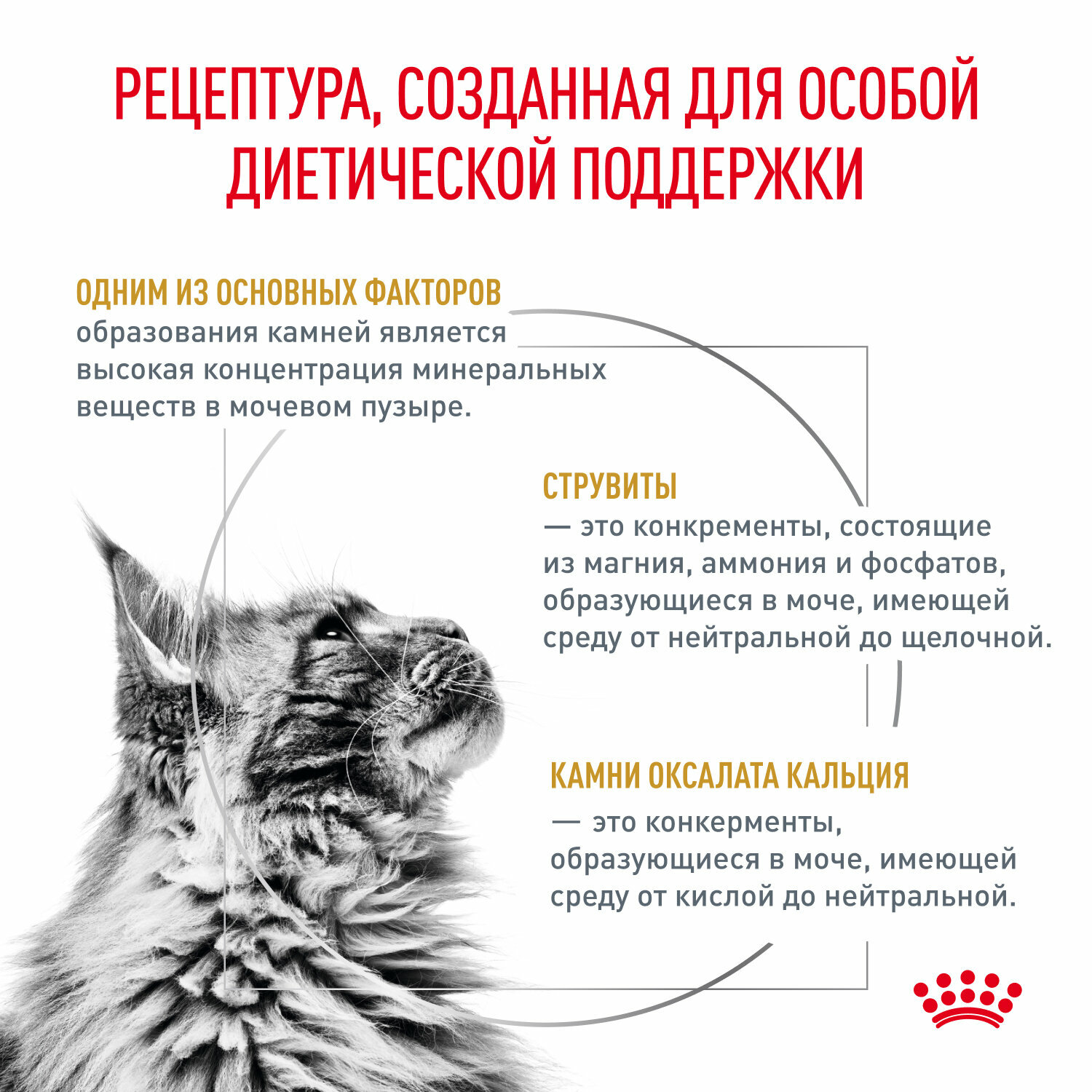 Влажный корм для кошек Royal Canin Urinary S/O, для лечения МКБ, с курицей, 85 г (кусочки в соусе) — фото 1