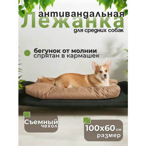 Товары для животных, Лежанка для кошек, Лежанка для собак, Лежак, Umkapets 60х100 антивандальная