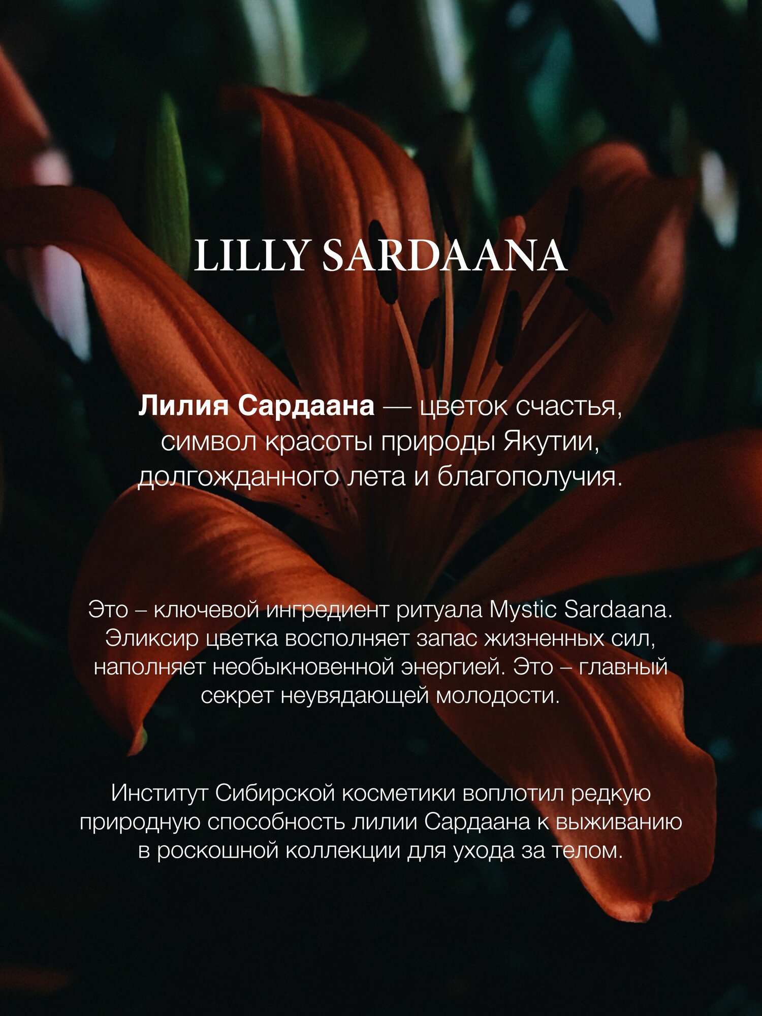 Скрабы Для Тела Natura Siberica Mystic Sardaana Парфюмированный скраб для тела антицеллюлитный отшелушивающий соляной 500 мл