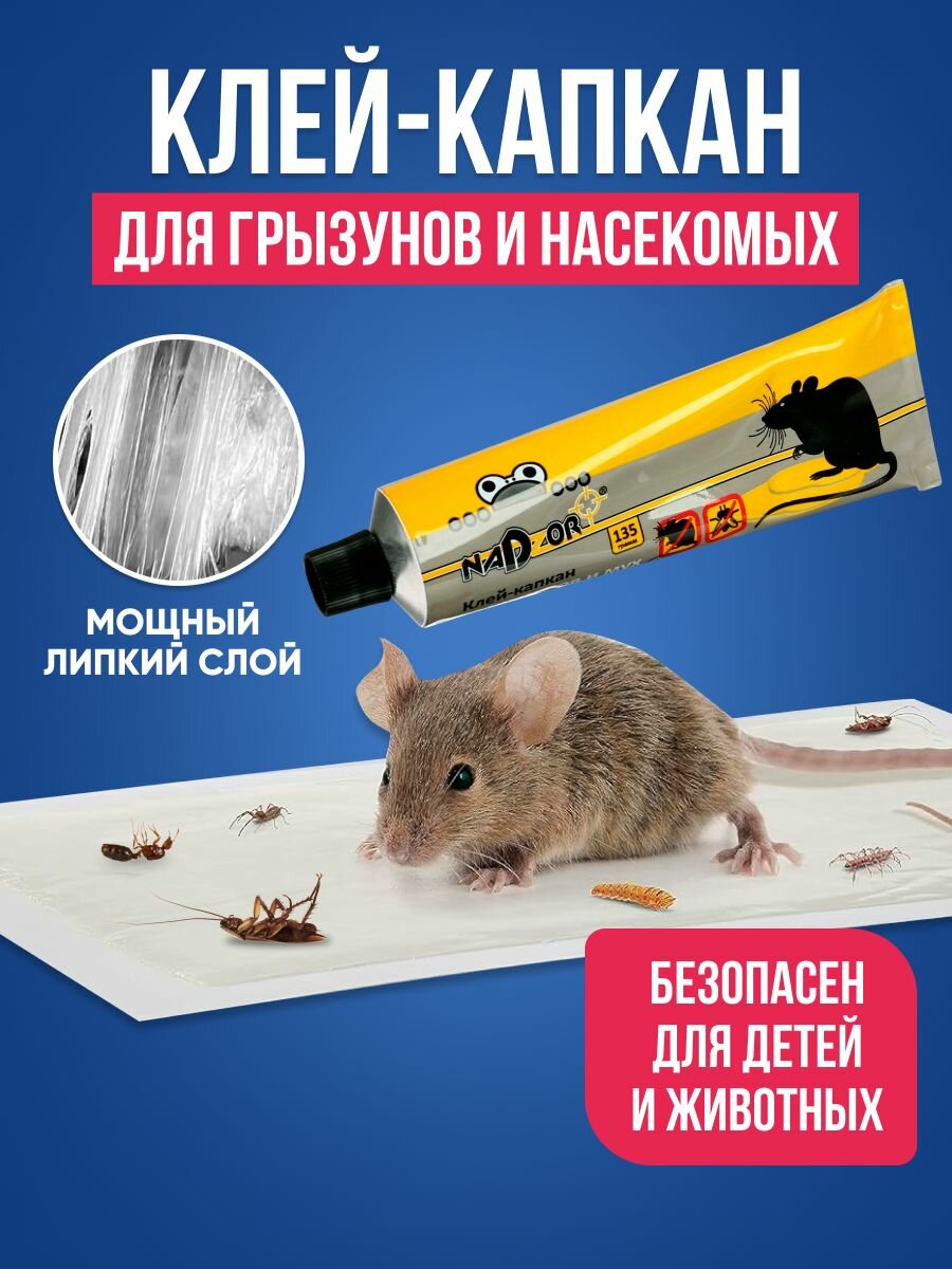 Клей - капкан Nadzor для ловли мышей крыс  других грызунов и насекомых / тюбик клея для крыс