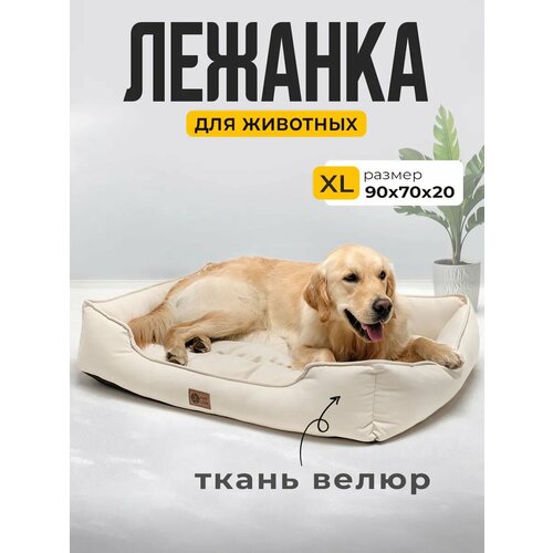 Лежанка для Кошек и Собак Большая с Бортиками и Подушкой