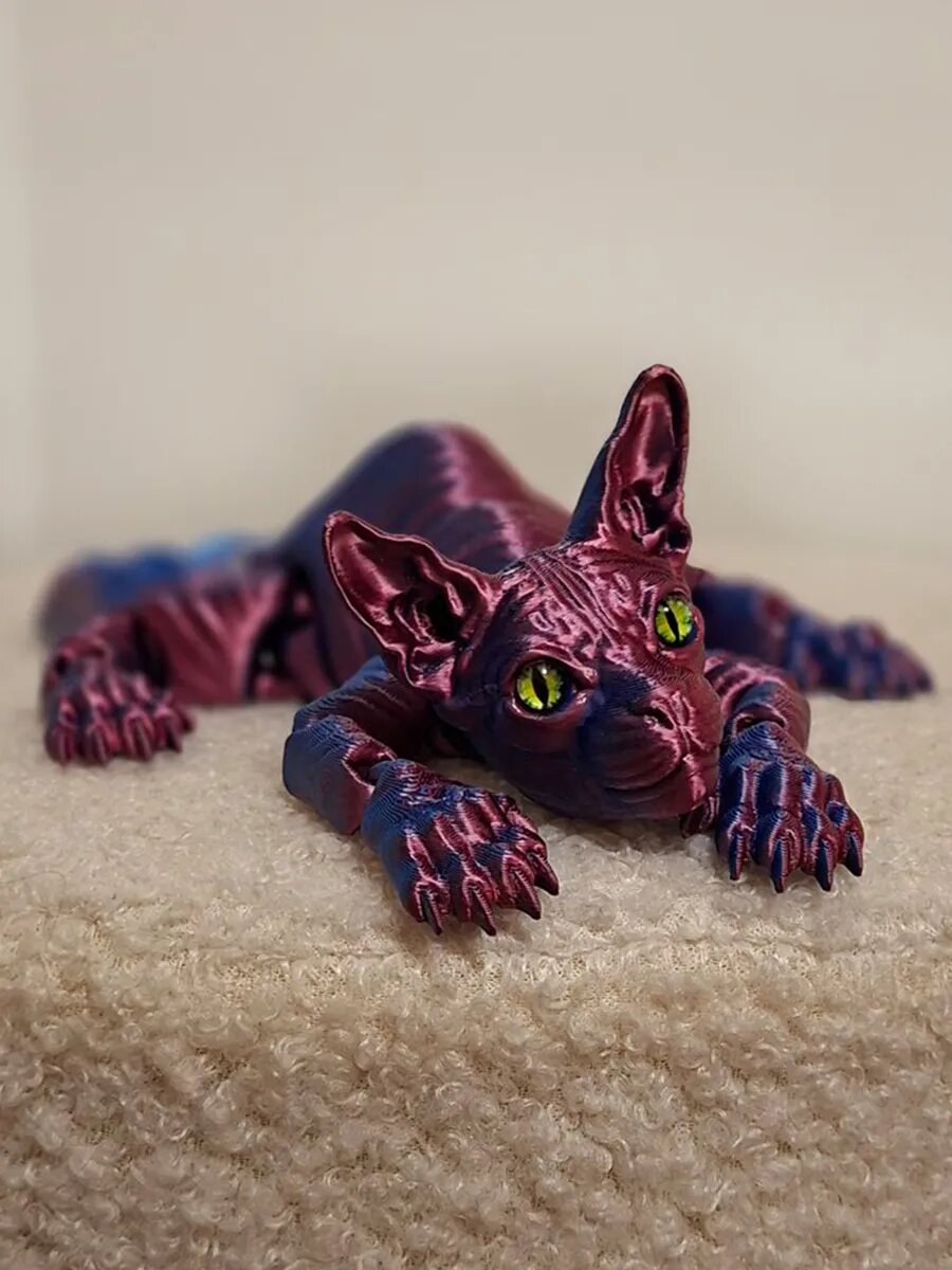 Сфинкс котик подвижный