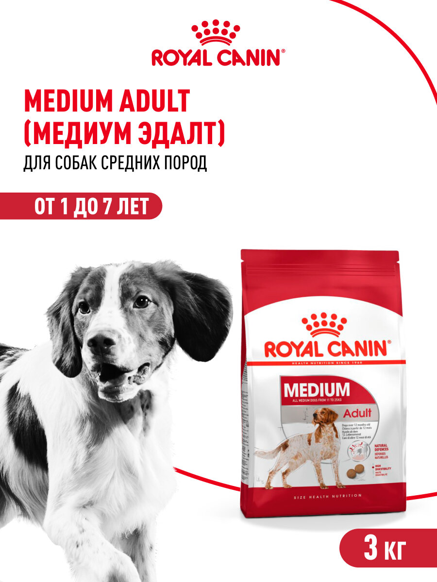 Сухой корм для собак Royal Canin Medium Adult для средних пород, 3 кг — фото 1