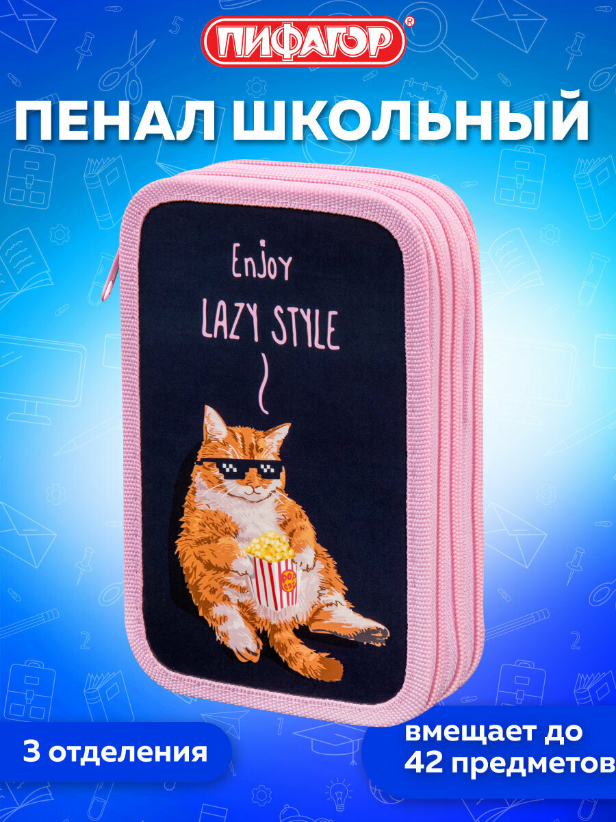 Пенал Пифагор, 3 отделения, ламинированный картон, 19х11 см, Lazy cat, 272252
