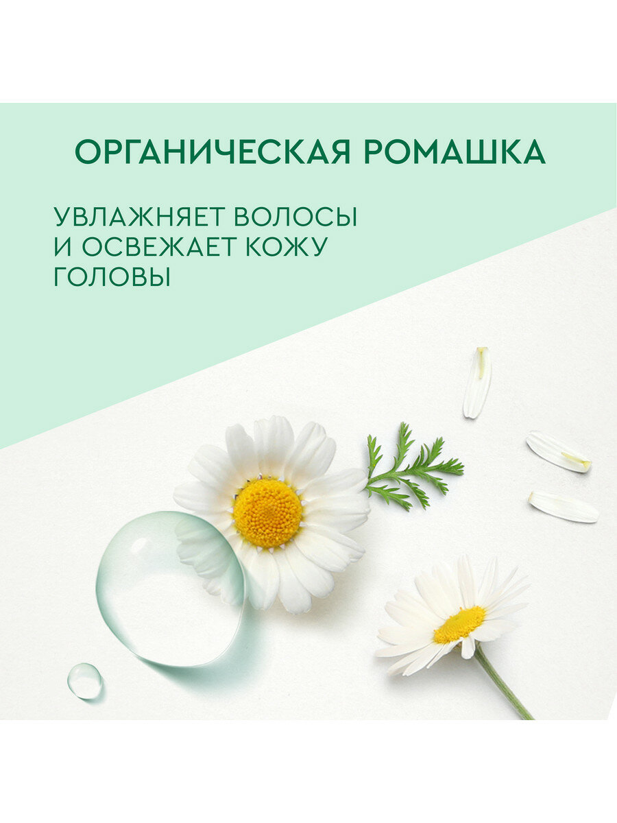 Чистая Линия NATURA мицеллярный шампунь бережный Свежесть и детокс Organic Ромашка, чистые волосы надолго 400 мл — фото 1