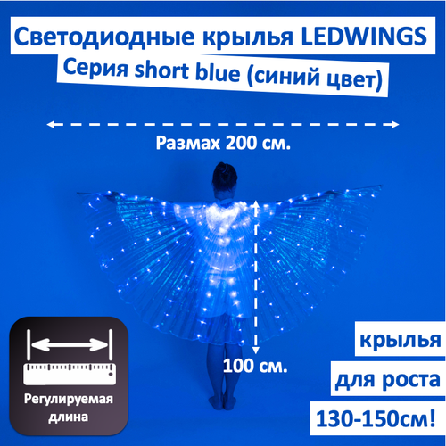 фото Светодиодные крылья ledwings для танца blue