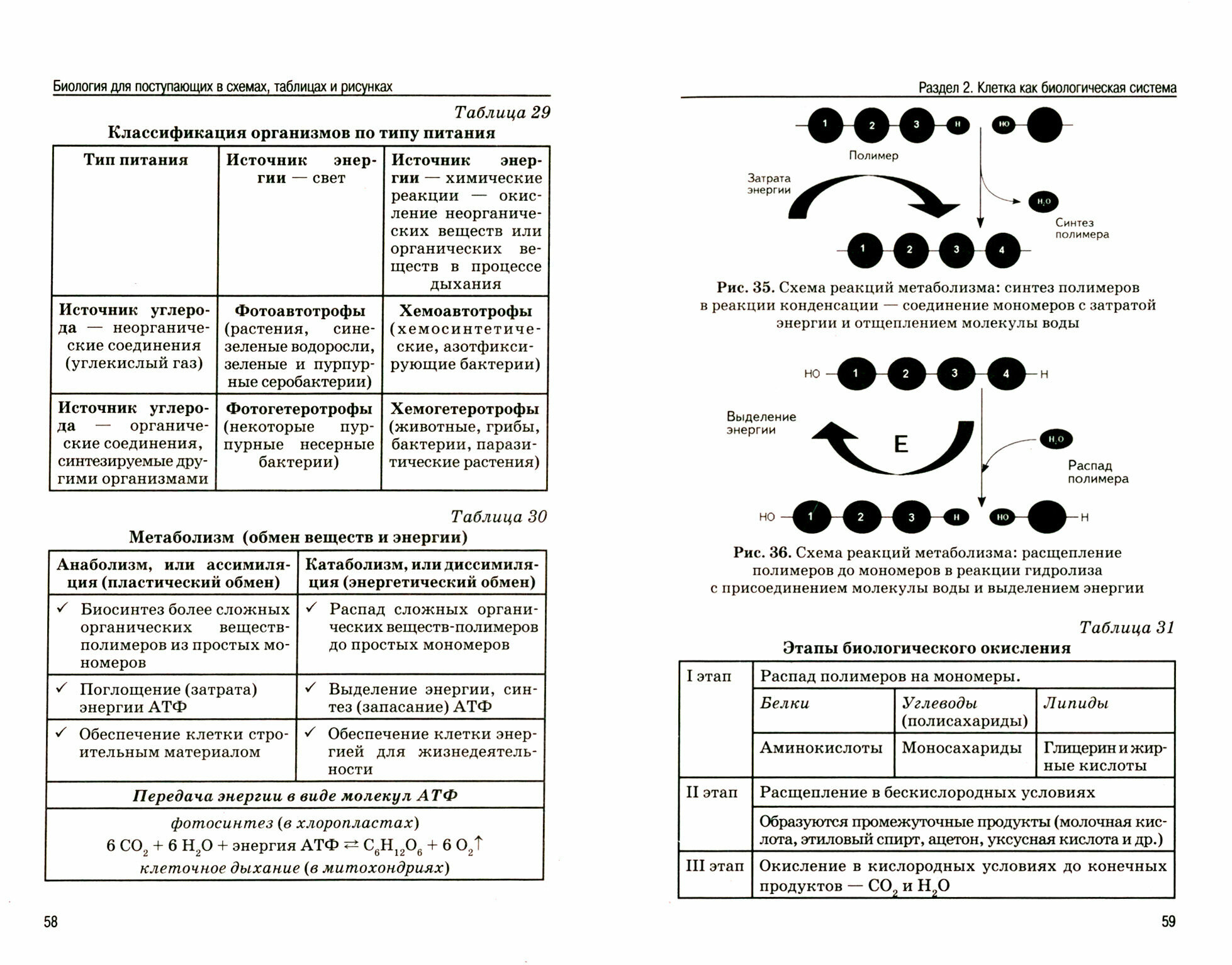 Биология в схемах, таблицах и рисунках - фото №6