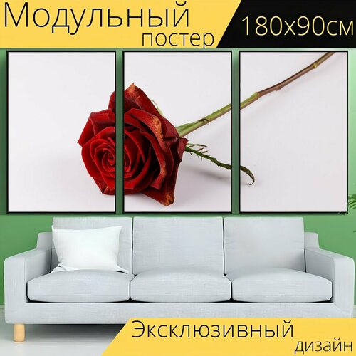 Модульный постер "Роза, цветок, валентинка" 180 x 90 см. для интерьера