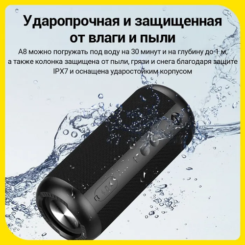 Mifa Беспроводные колонки A8 434000₽