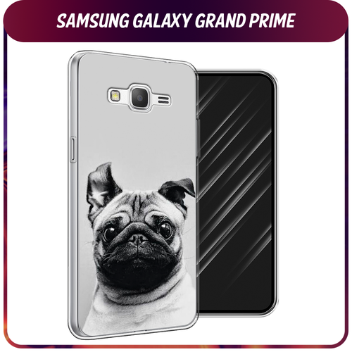 Силиконовый чехол на Samsung Galaxy Grand Prime/J2 Prime / Самсунг Галакси Grand Prime/J2 Prime Ушастый мопс силиконовый чехол на samsung galaxy grand prime j2 prime самсунг галакси grand prime j2 prime синие бабочки прозрачный