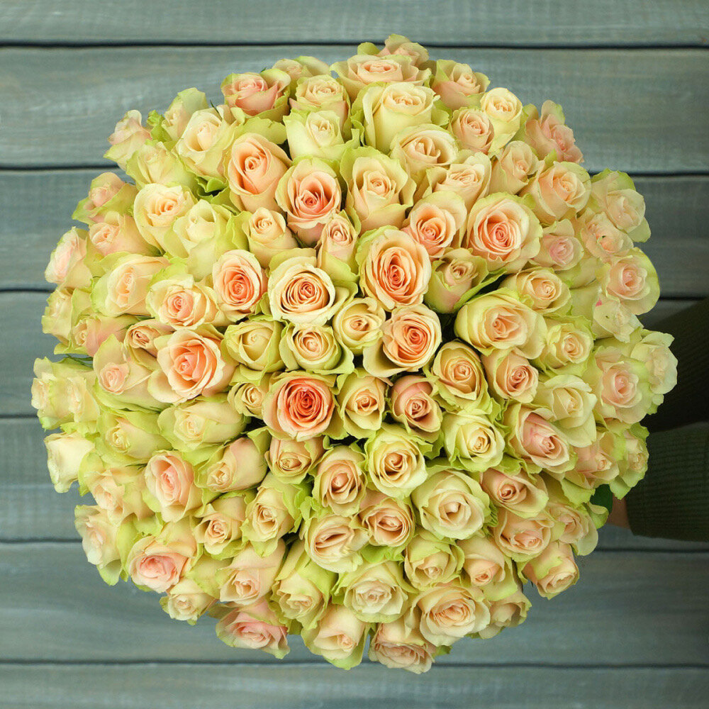 Букет из 101 зелено-розовой Розы Кения