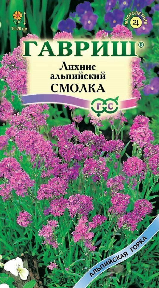 Семена Лихнис альпийский Смолка, 0,05г, Гавриш, Альпийская горка, 10 пакетиков