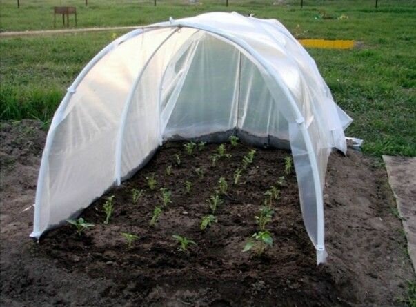 фото Пленка укрывная однолетняя ПВД 80 мкм 3х6 м для теплиц и парников укрывной материал для ремонта