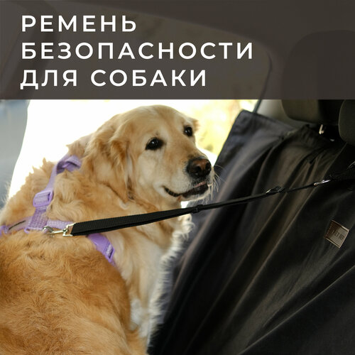 Ремень безопасности для собак PET BED черный