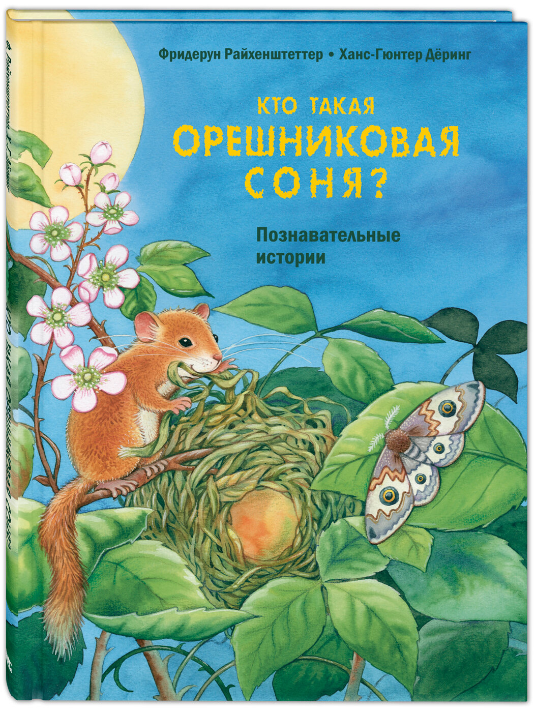 Кто такая орешниковая соня Познавательные истории - фото №1