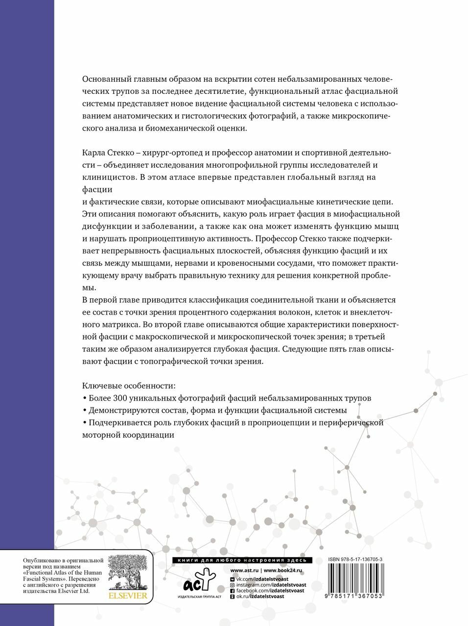 Полный атлас анатомии человека. Мышечно-фасциальные цепи - фото №11