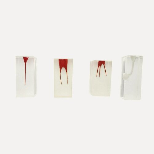 Изображение товара Эндоблоки : 4 шт , одноканальные , двухканальные , трехканальные . одноканальные с конусом. Прозрачные тренировочные блоки для обучения и закрепления эндодонтических навыков от Incidental