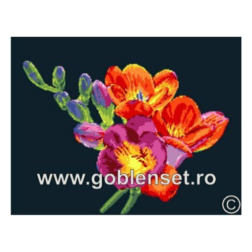 Фрезия (Freesias) G1002