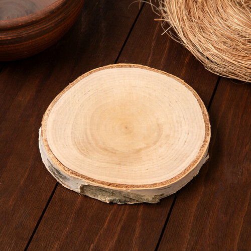 Срез Берёзы 11-14 см 448₽