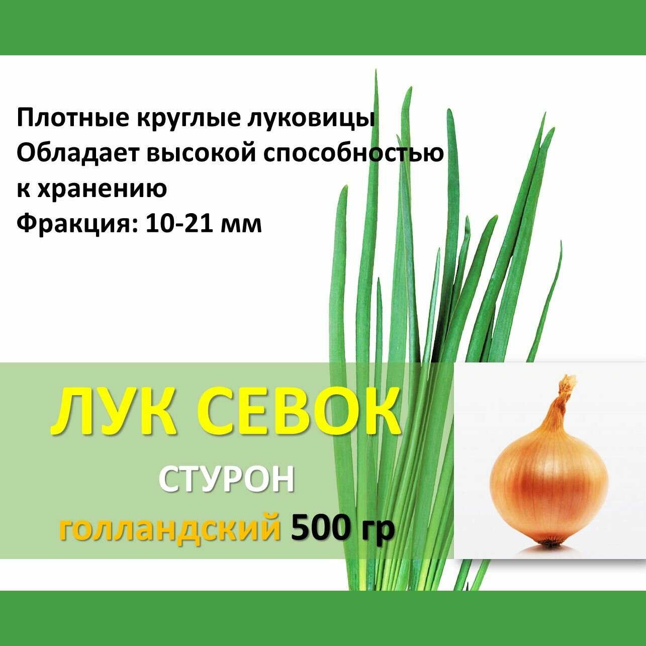 Голландский лук севок Стурон 05 кг желтый