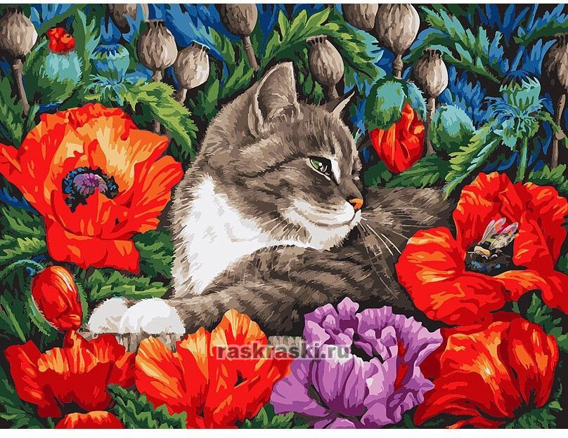 Картина по номерам Белоснежка «Кот в маках» (30х40 см, холст на подрамнике)