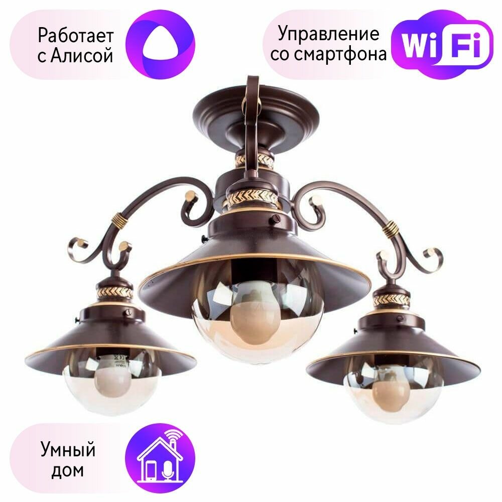 Люстра потолочная Arte Lamp 7 с поддержкой Алиса A4577PL-3CK-A - фото №1
