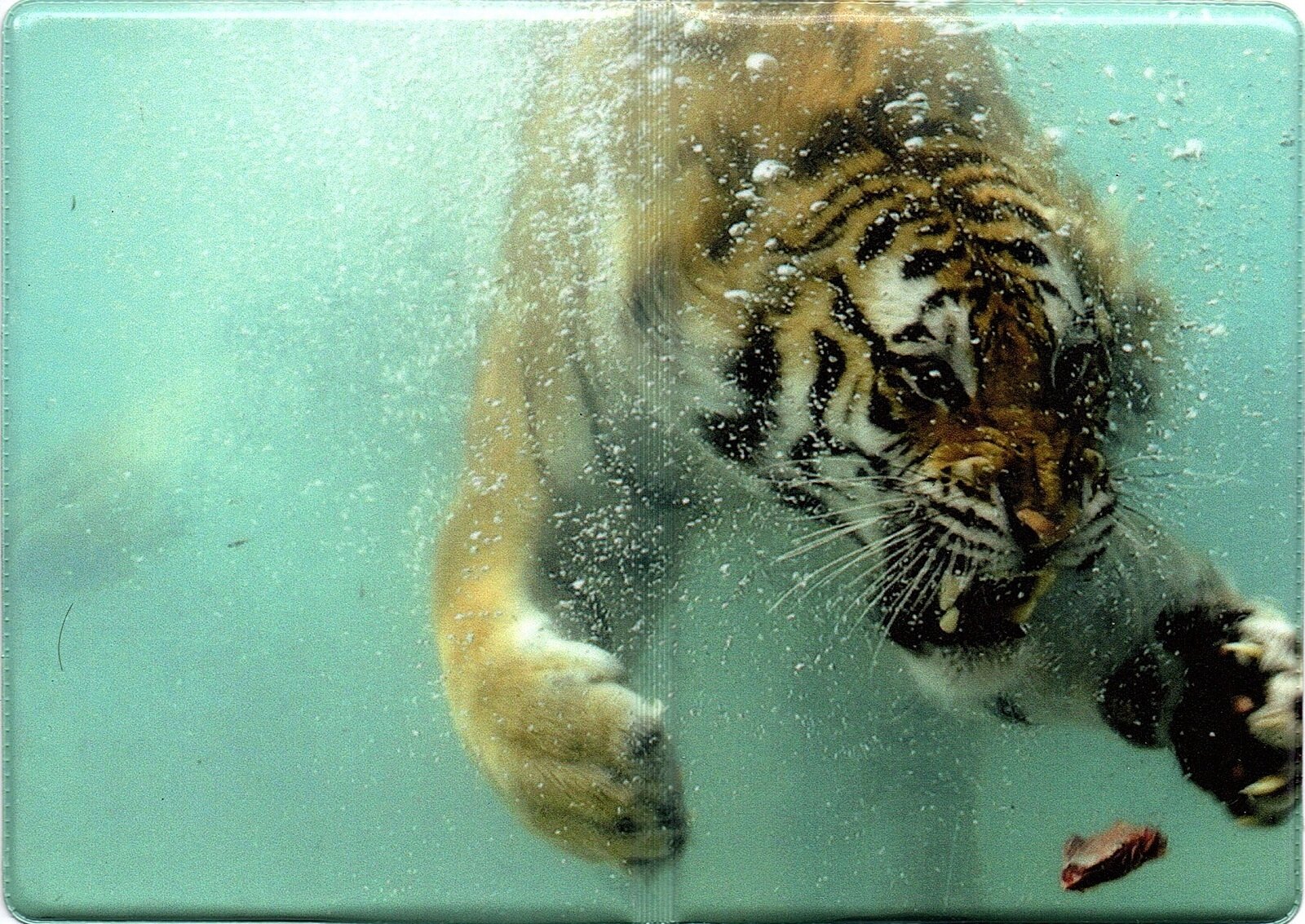 Обложка для паспорта