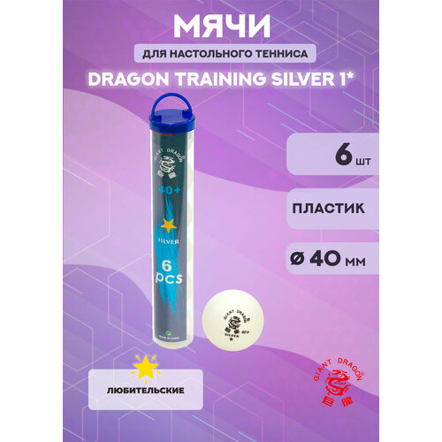 Мячи для настольного тенниса Dragon Training Silver 1* (6 шт, белые) в тубусе мячи для настольного тенниса dragon training silver ★ 36 шт белые в тубусе