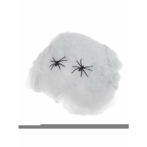 Прикол Паутина и 2 паука 403₽